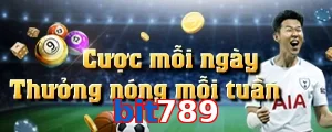 bit789